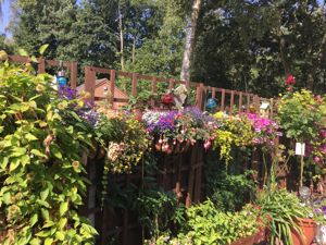 Photo 23- click for photo gallery